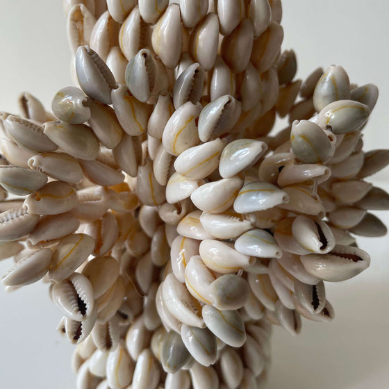 Cowrie Vase