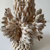 Cowrie Vase