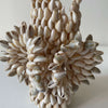 Cowrie Vase