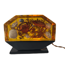  Lampe avec inclusion Aquarium